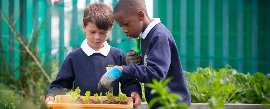 School Dinners - Barlows Primary School