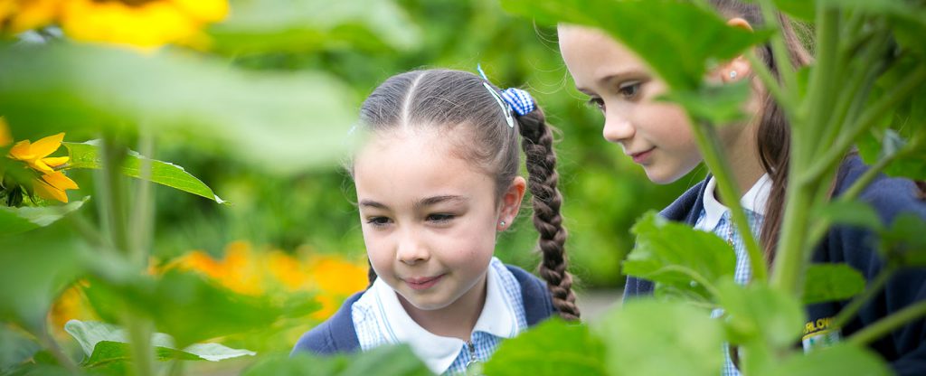 Contact Barlows Primary School