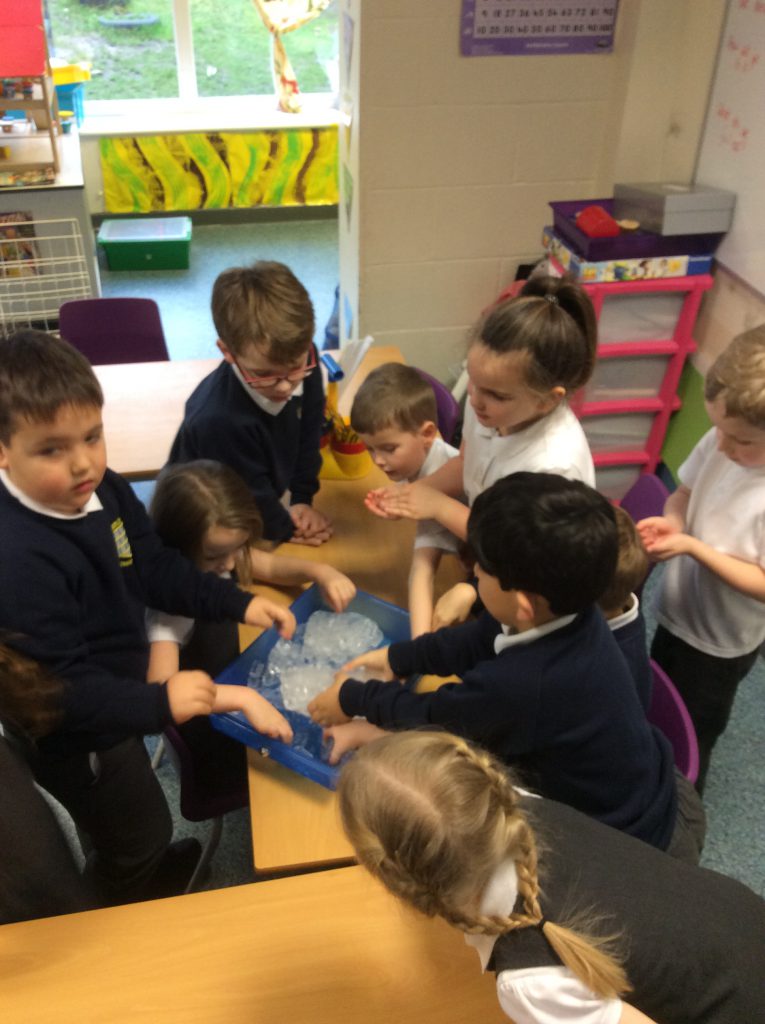 Spring 1 Barlows Primary School